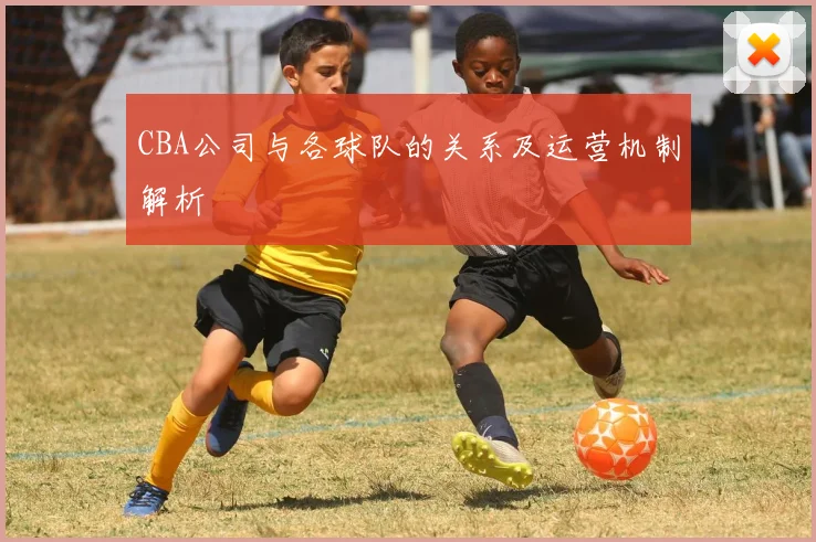 CBA公司与各球队的关系及运营机制解析