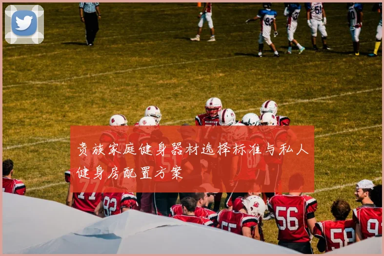 贵族家庭健身器材选择标准与私人健身房配置方案