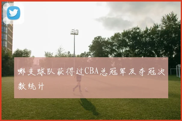 哪支球队获得过CBA总冠军及夺冠次数统计