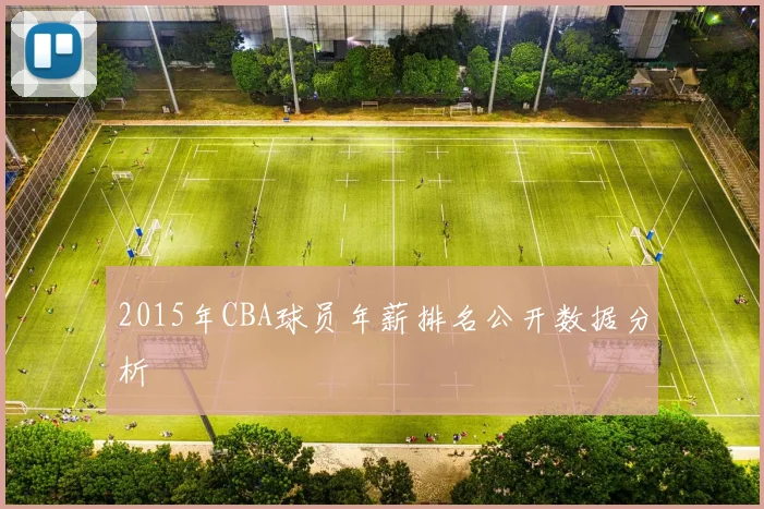 2015年CBA球员年薪排名公开数据分析