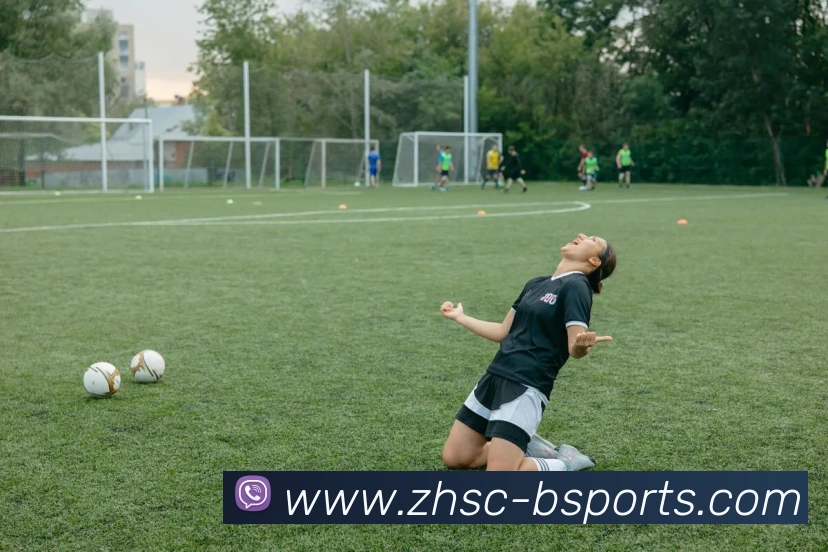 B体育Bsports平台生态图