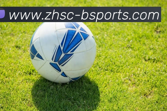 B体育BsportsAPP 封面图